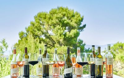 Inside the world of Provençal wine and how to pick the best bottle, according to an expert