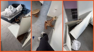 ‘Those poor girls must have been terrified’ Men book Airbnb under fake ID, bring underage girls, and trash the place