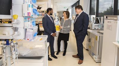 Stroke 'miracle cure' labelled as effective as placebo