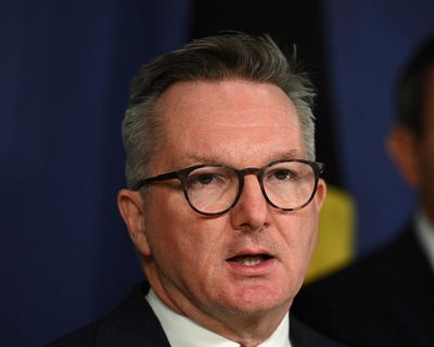 Optus CEO says three people died after triple zero calls affected during network upgrade – as it happened