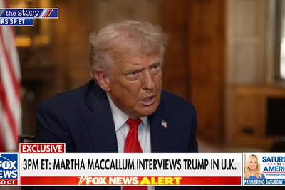 ‘These people are crazed lunatics’: Trump gives rambling answer when pressed about attacks on First Amendment