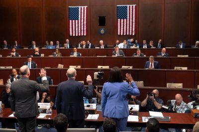 Democrats express concern over Trump’s actions against critics