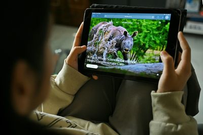 How Did An Indian Zoo Get The World's Most Endangered Great Ape?