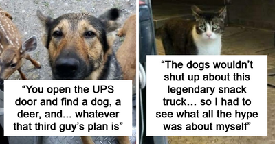 50 Of The Cutest Dogs And Other Pets UPS Drivers Met While On The Job (New Pics)
