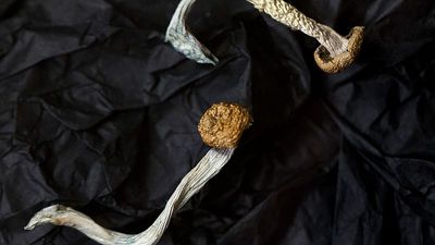 Psychedelic medicine is promising but not ready to be rolled out to patients, say UK doctors