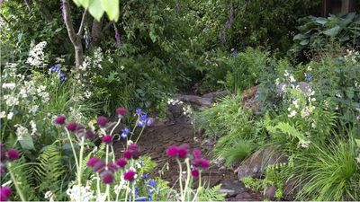 Gardeners warned never to touch these 5 poisonous weeds bare-handed – here's how to get rid of them safely