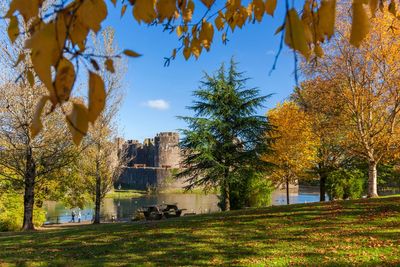 Ultimate autumn adventures by train