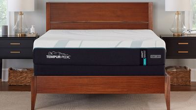 Tempur discount codes for September 2025 |
