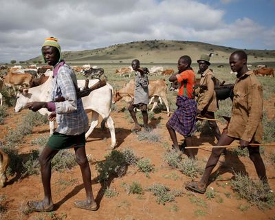 Kenya’s Turkana people genetically adapted to live in harsh environment, study suggests