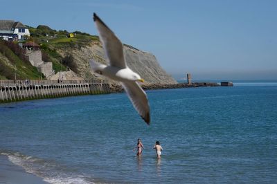 Government may have failed to comply with law over marine target, watchdog says