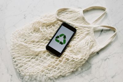 7 Trending Eco-Friendly Products Every Pet Owner Should Know About