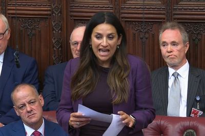 Some people openly want a family member dead, Baroness Berger warns