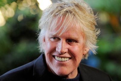 Gary Busey gets probation for sexual offense at 2022 horror convention