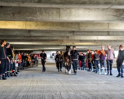 Garland review – bells, whistles and a horse as Leith’s processional bemuses and beguiles