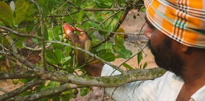 How farmers are finding greener ways to produce food, from East Anglia to Andhra Pradesh in India