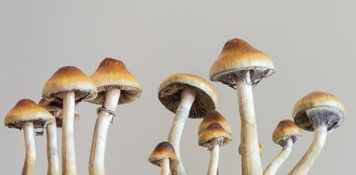 Lasting relief from depression after magic-mushroom treatment – new study