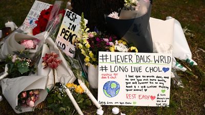 Seven teens in custody charged with murder of two boys