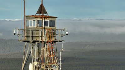 Why AI-powered cameras are watching Australian forests
