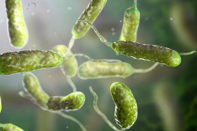 Louisiana sees increase in flesh-eating bacteria cases