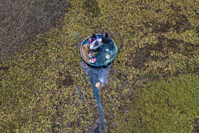 As climate risks grow, India's Bengaluru is trying to save its vanishing lakes