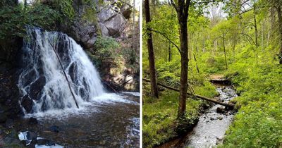 This 'magical' and 'hidden' glen could be the best to visit in all of Scotland