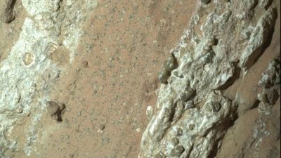 Could a Mars crater have once hosted life? NASA's Perseverance rover finds more evidence it's possible