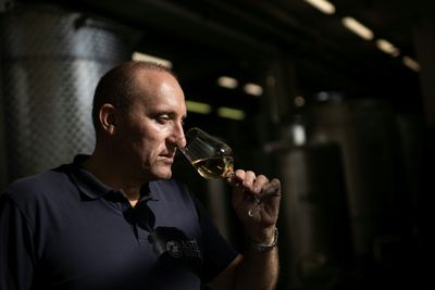 Bumper Harvest Falls Flat For Italy's Asti Vineyards