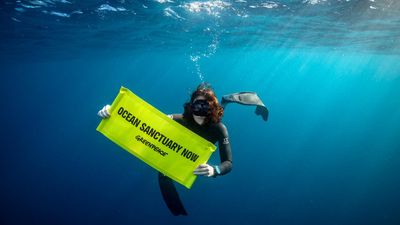 Australia on notice: don't miss boat on oceans treaty