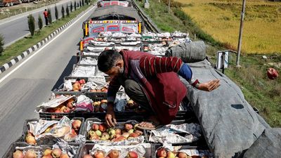 Kashmir’s apple farmers face Rs 2,000 cr loss as NH-44 closure strands thousands of trucks