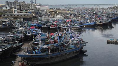 Landmark WTO deal shifts course in global effort to curb overfishing
