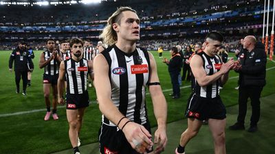 Pies captain bullish about future after finals exit