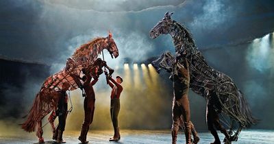 War Horse return crosses off bucket list dream for Glasgow-raised actor
