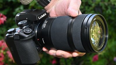 Panasonic Lumix S 70-300mm f/4.5-5.6 Macro O.I.S. review: a tele zoom like manufacturers used to make, but better
