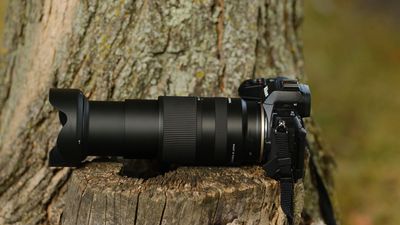 I left my bag of pro gear at home and took a cheap mirrorless camera and superzoom on vacation. Here’s how it went…