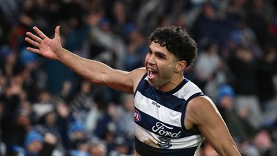 Second flag would mean even more to electric Cat