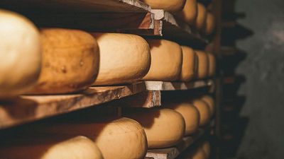 How far would you travel for cheese? Discover Europe’s best-kept cheese secrets on this epic trip