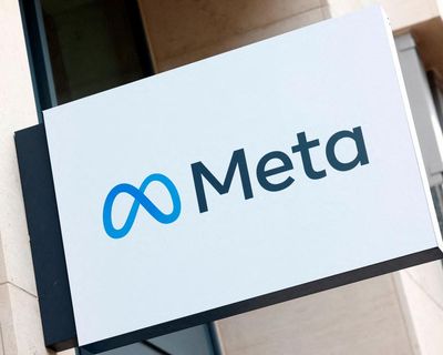 Meta exposé author faces bankruptcy after ban on criticising company
