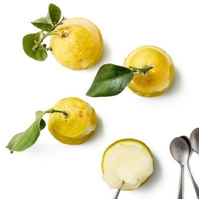 How to make lemon sorbet – recipe