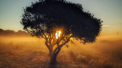 First Day of Fall 2025: 8 Fun Facts About the Autumnal Equinox on September 22