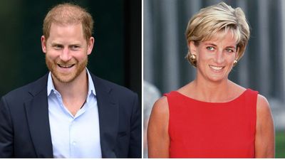 Prince Harry's shocking new Princess Diana documentary - and what Prince William really thinks