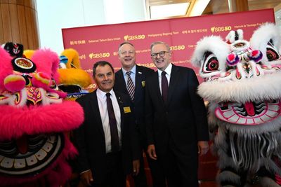 Online TV viewers should have power to block gambling ads, former SBS chair says