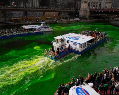 Hundreds plunge in Chicago River for first official swim in nearly 100 years