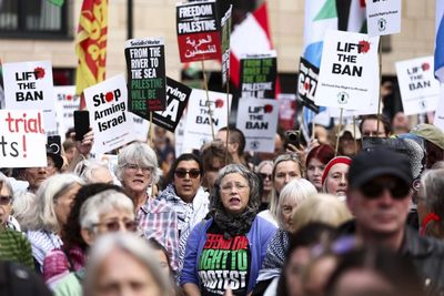 Palestine Action ban is a gift for Nigel Farage