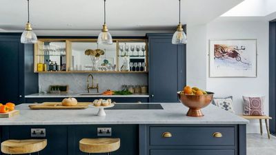 This natural home fragrancing hero could be your biggest ally in the war on mold this winter – as long as you pick the right ones for the job, remediators warn