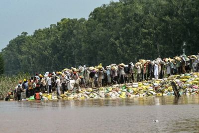 ‘Restart from scratch’: Flood-hit Indian farmers look at swelling losses