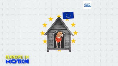 Pet dogs: Where in the EU is man's best friend most popular?