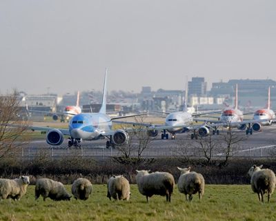 Reeves claims Gatwick second runway ‘will mean cheaper holidays’; Trump’s $100,000 H-1B visa fee expected to hurt US growth – as it happened