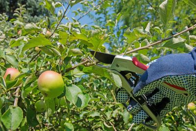The key gardening jobs to do this month to get ahead for winter