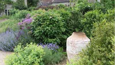 How to reuse old planters in the garden – 5 beautiful ways to give your pots a second lease of life