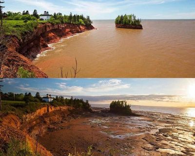 Whose tide is highest? Canadian towns battle it out over Guinness World Record title